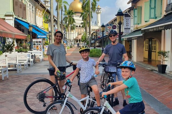 20 Wheel City Bikes